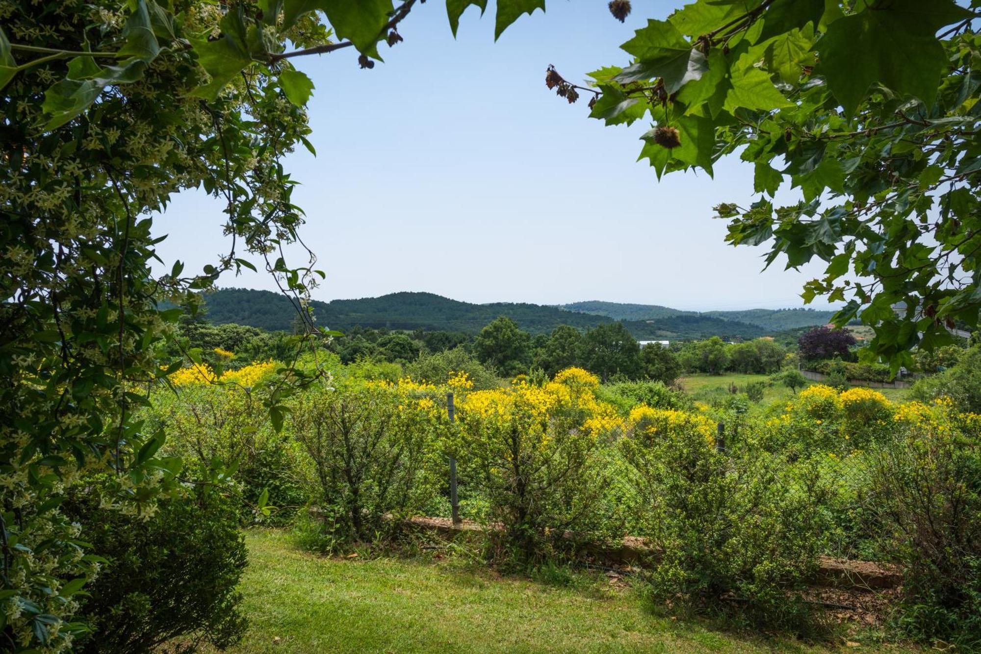 Country Cottage I & Country Cottage II 폴리이로스 외부 사진